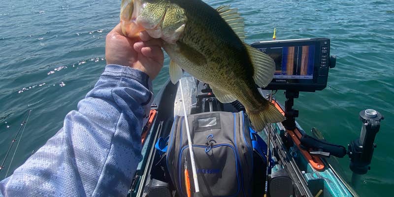 Camper submitted image from Breezy Pines Resort & Campground