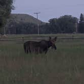 Review photo of Valley Garden Campground by Jane W., June 23, 2023