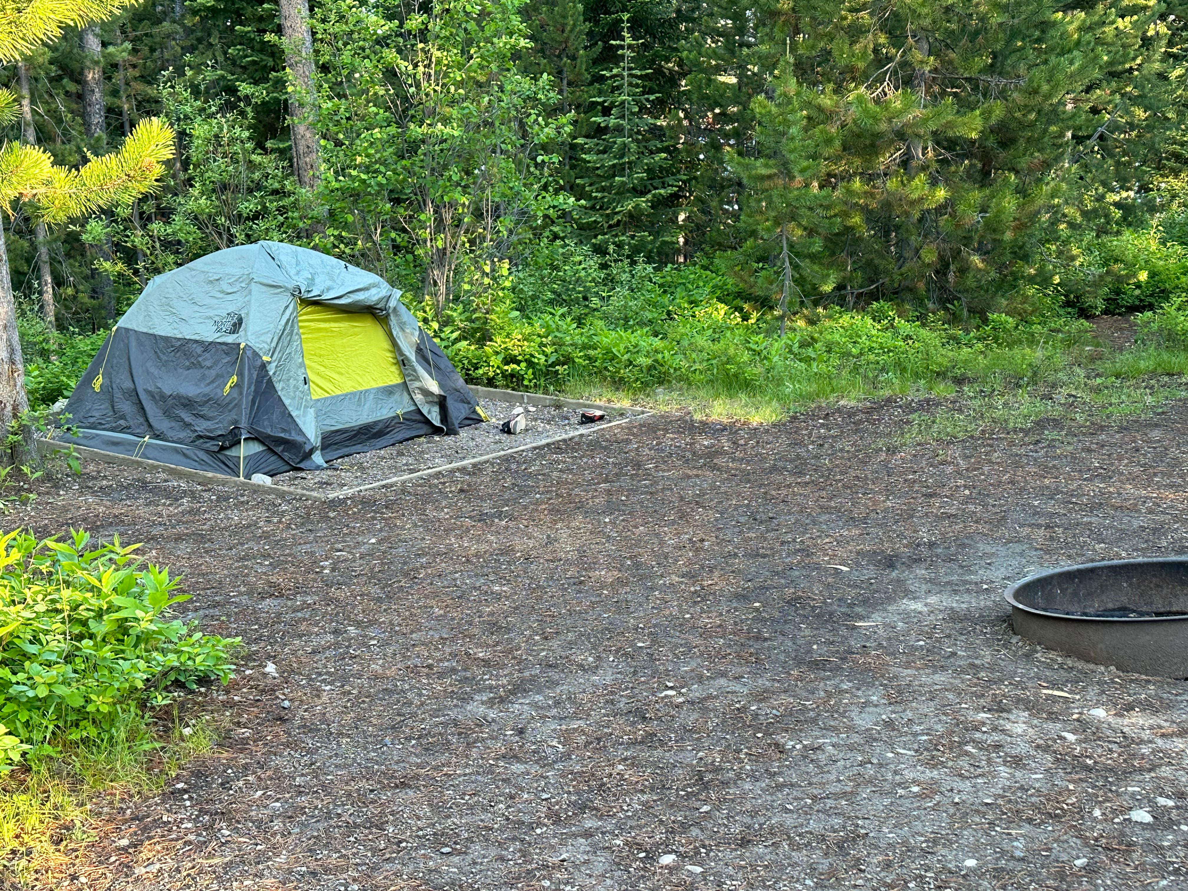 Candice M.'s photo at Signal Mountain Campground — Grand Teton National Park near Grand Teton National Park