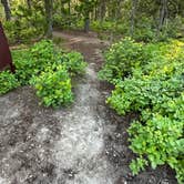 Review photo of Signal Mountain Campground — Grand Teton National Park by Candice M., June 23, 2023