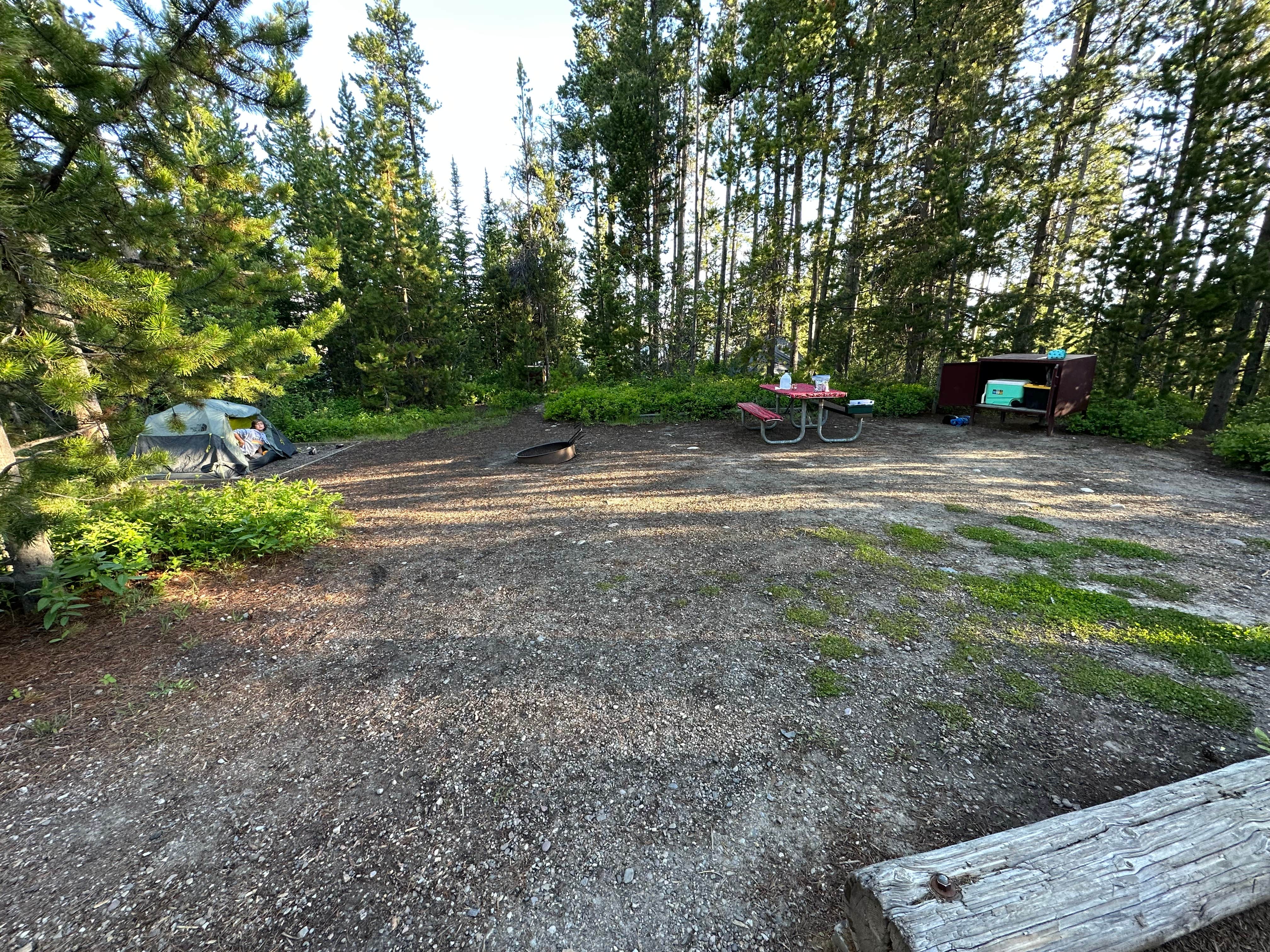 Candice M.'s photo at Signal Mountain Campground — Grand Teton National Park near Moran, WY