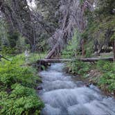 Review photo of Ashley National Forest Hades Campground by Shane R., June 23, 2023