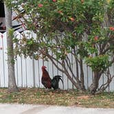 Review photo of Boyd's Key West Campground by Paul & Jane O., June 23, 2023