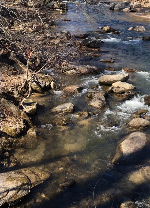 Camper submitted image from Montreat Family Campground - 3