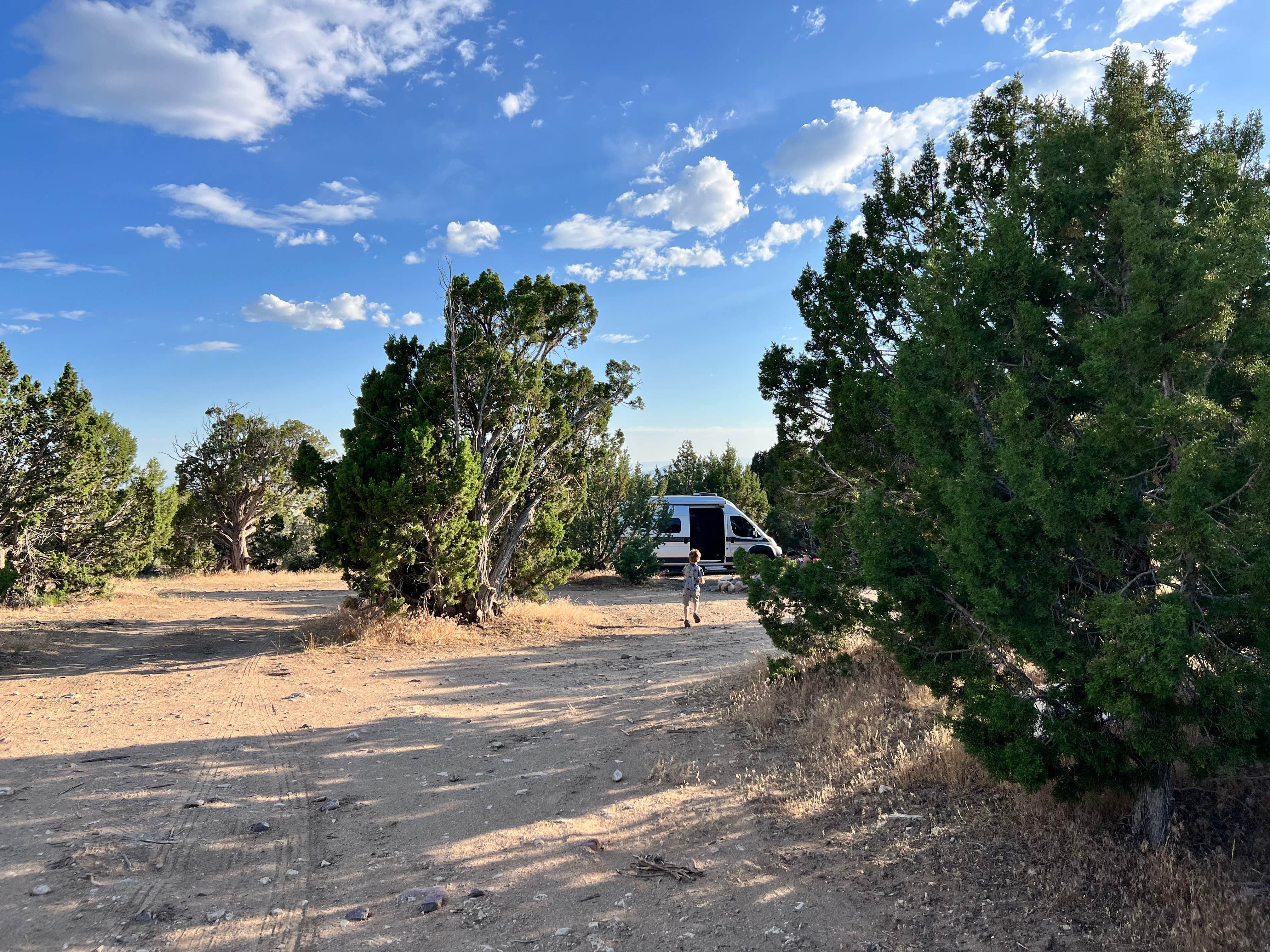 Camper-submitted photo at Whiskey Creek Road USFS Dispersed near Delta, UT