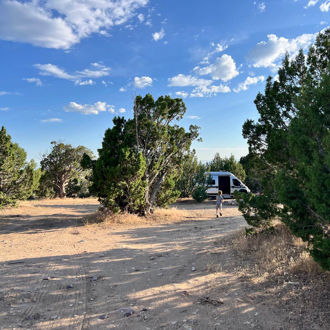 Whiskey Creek Road USFS Dispersed Camping Oak City, UT