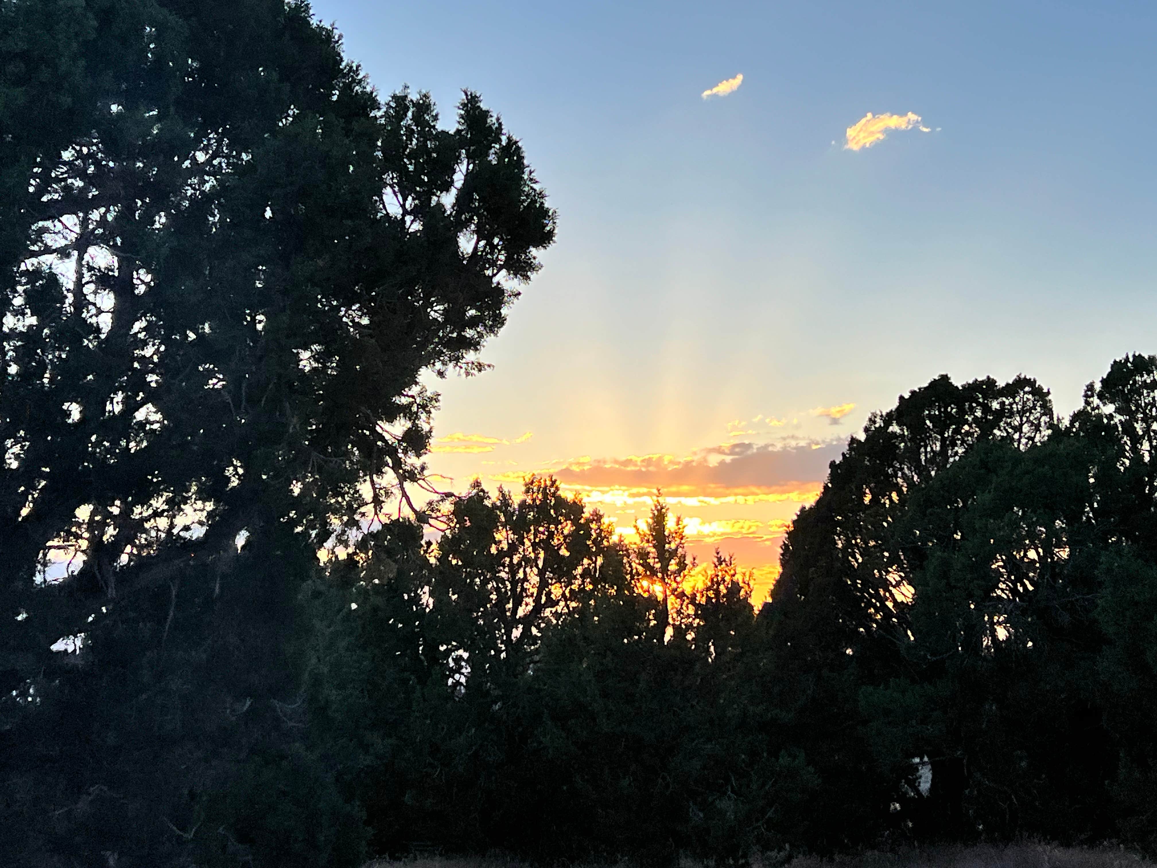 Camper-submitted photo at Whiskey Creek Road USFS Dispersed near Delta, UT