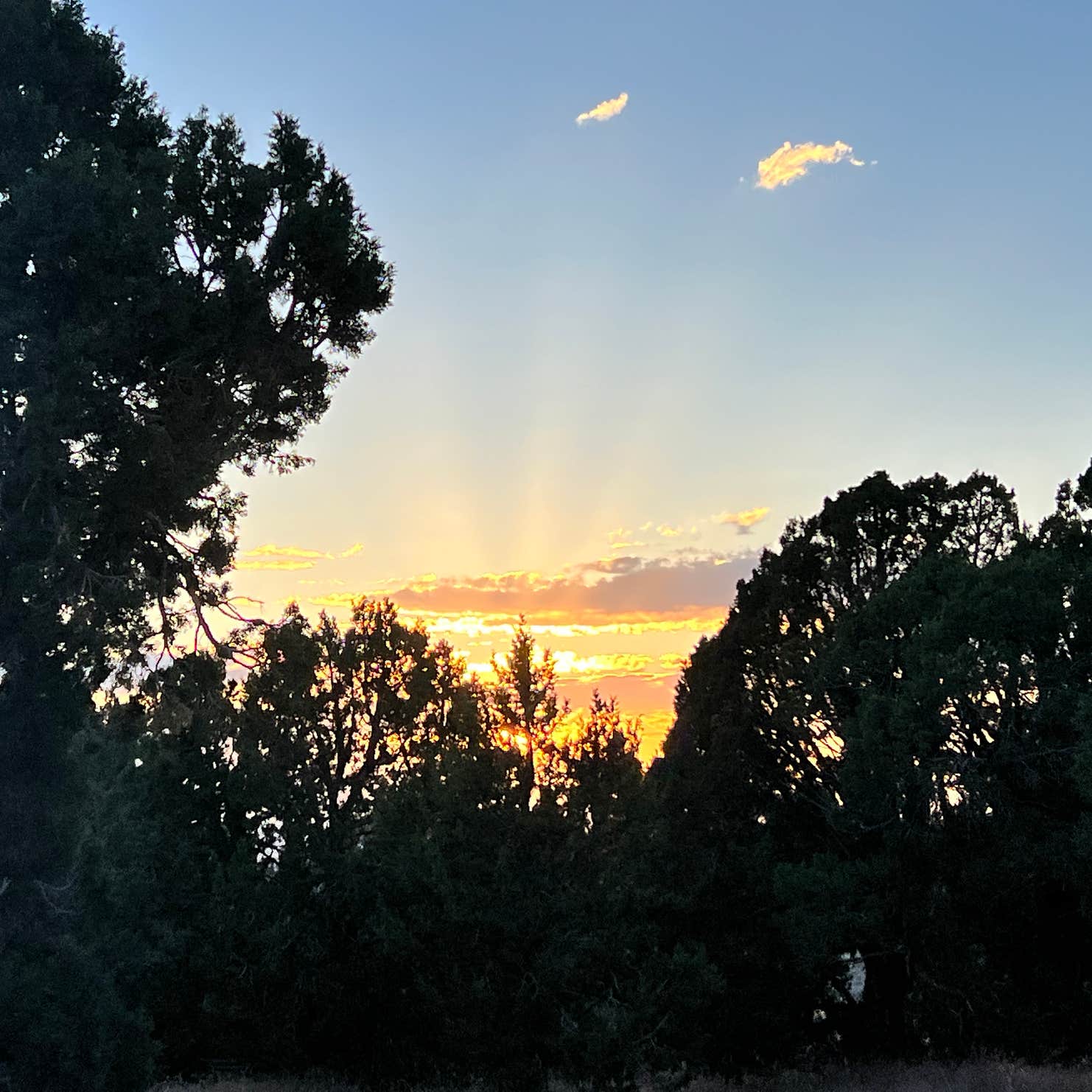 Whiskey Creek Road USFS Dispersed Camping Oak City, UT