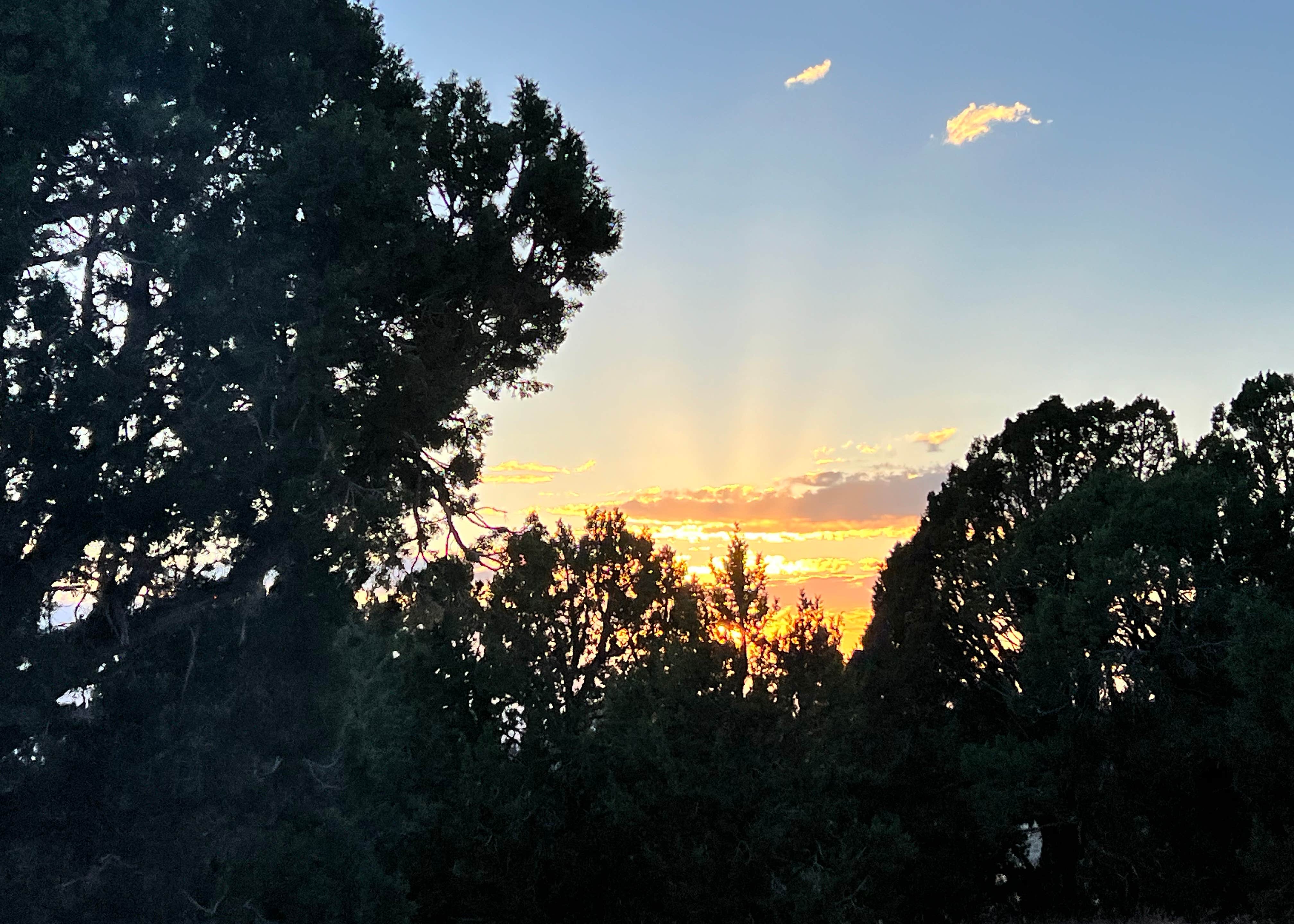 Whiskey Creek Road USFS Dispersed Camping The Dyrt