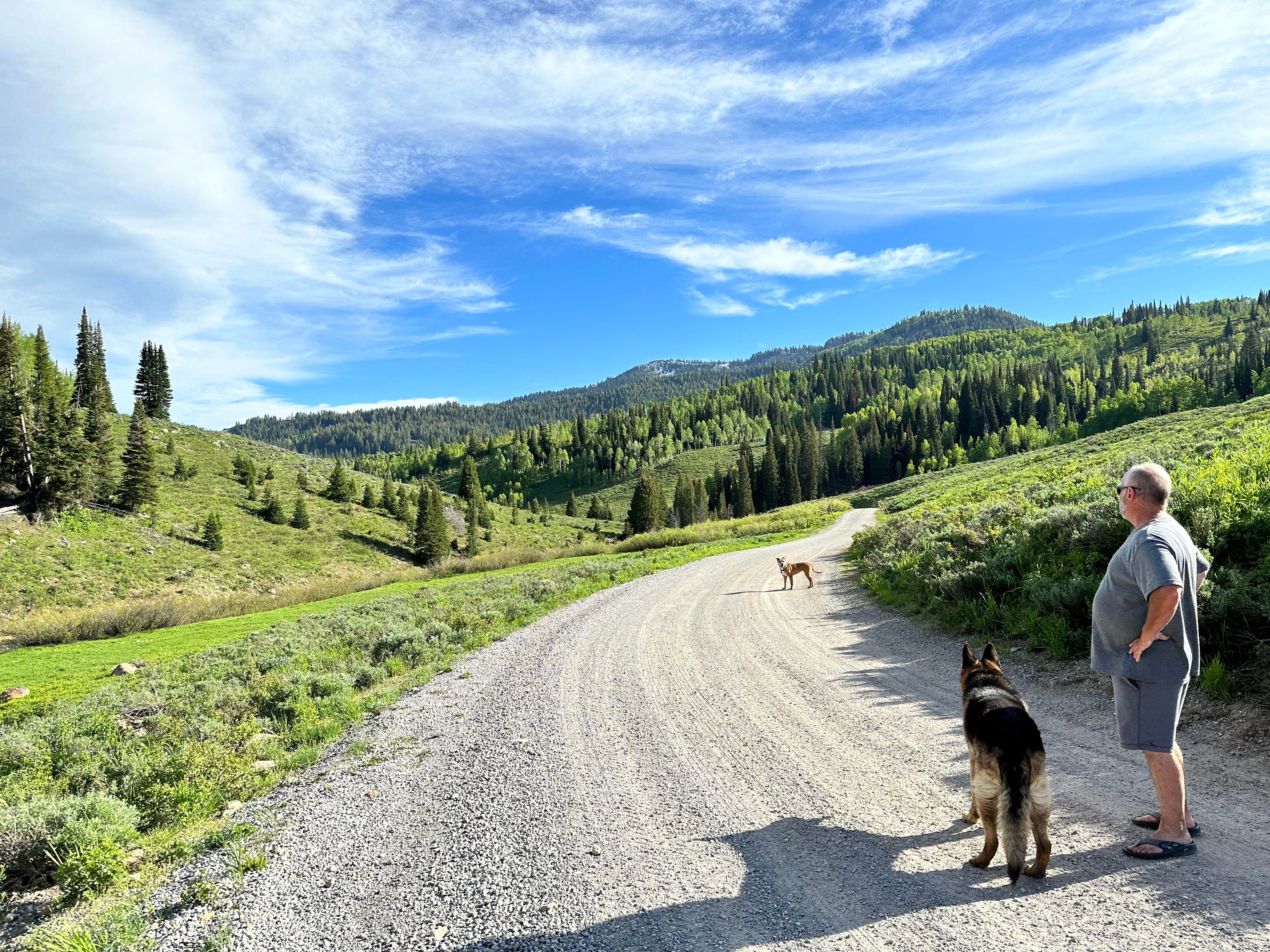 Erika M.'s photo of a dispersed camping area at Franklin Basin Dispersed Camping near Hyrum, UT