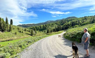 Erika M.'s photo of camping with pets at Franklin Basin Dispersed Camping near Lewiston, UT
