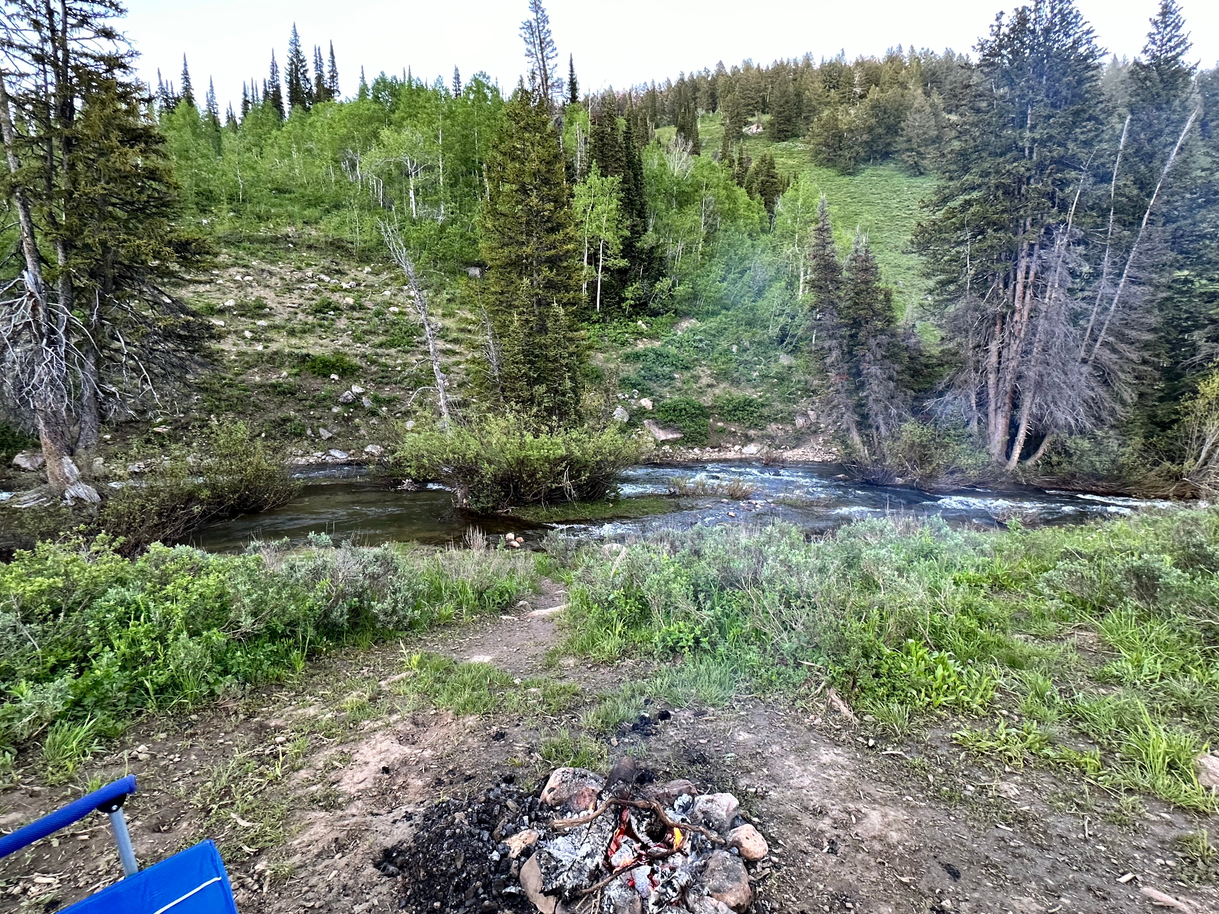 Camper submitted image from Franklin Basin Dispersed Camping - 5