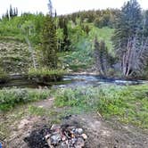 Review photo of Franklin Basin Dispersed Camping by Erika M., June 23, 2023