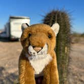 Review photo of BLM - North Maricopa Mountains Wilderness by Erika M., June 23, 2023