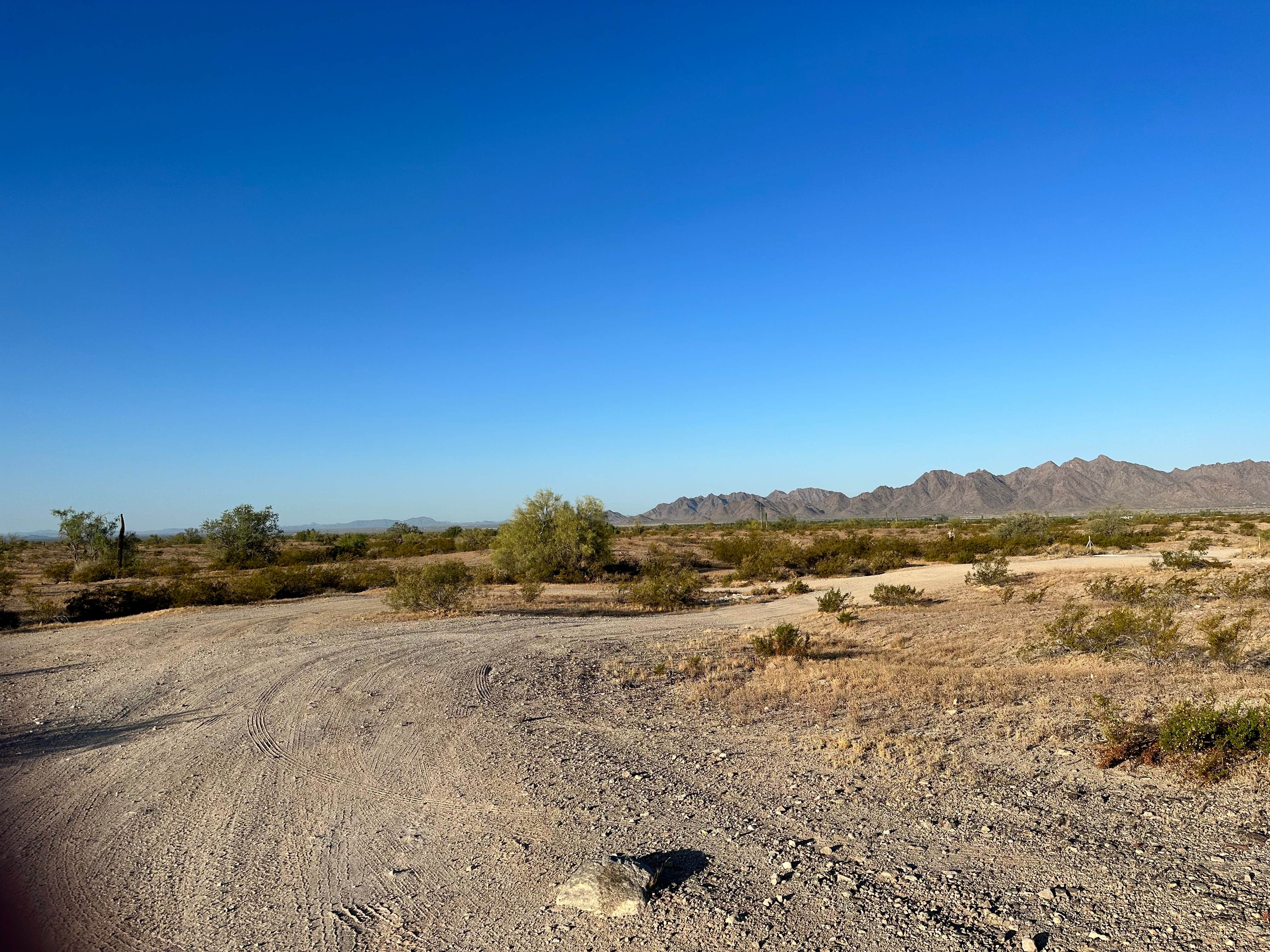 Camper-submitted photo at BLM - North Maricopa Mountains Wilderness near Arlington, AZ