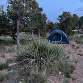 Review photo of Desert View Campground — Grand Canyon National Park by Lauren C., June 23, 2023