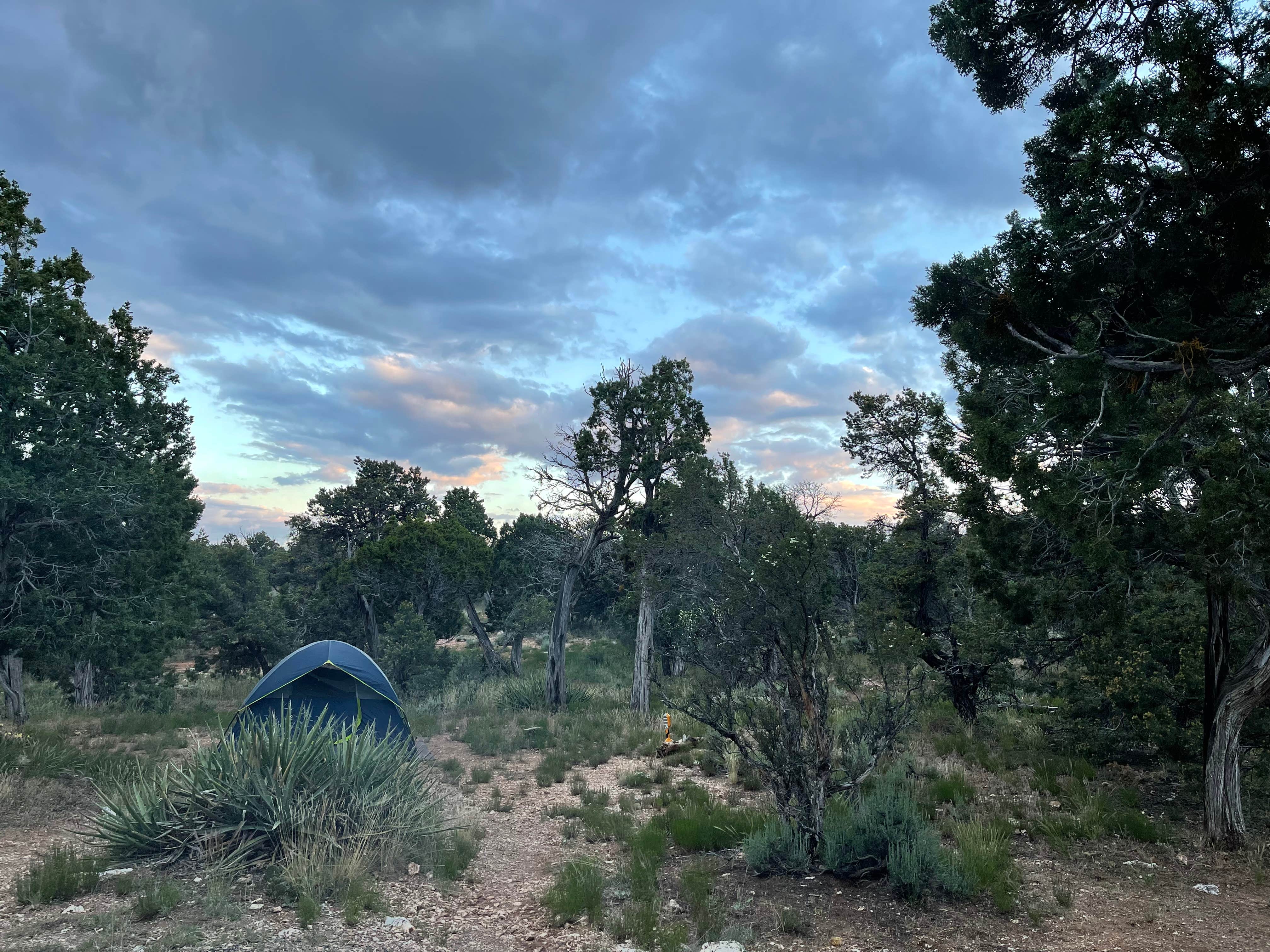 Lauren C.'s photo at Desert View Campground — Grand Canyon National Park near Tuba City, AZ