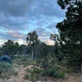 Review photo of Desert View Campground — Grand Canyon National Park by Lauren C., June 23, 2023