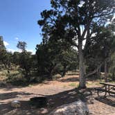 Review photo of Desert View Campground — Grand Canyon National Park by Lauren C., June 23, 2023