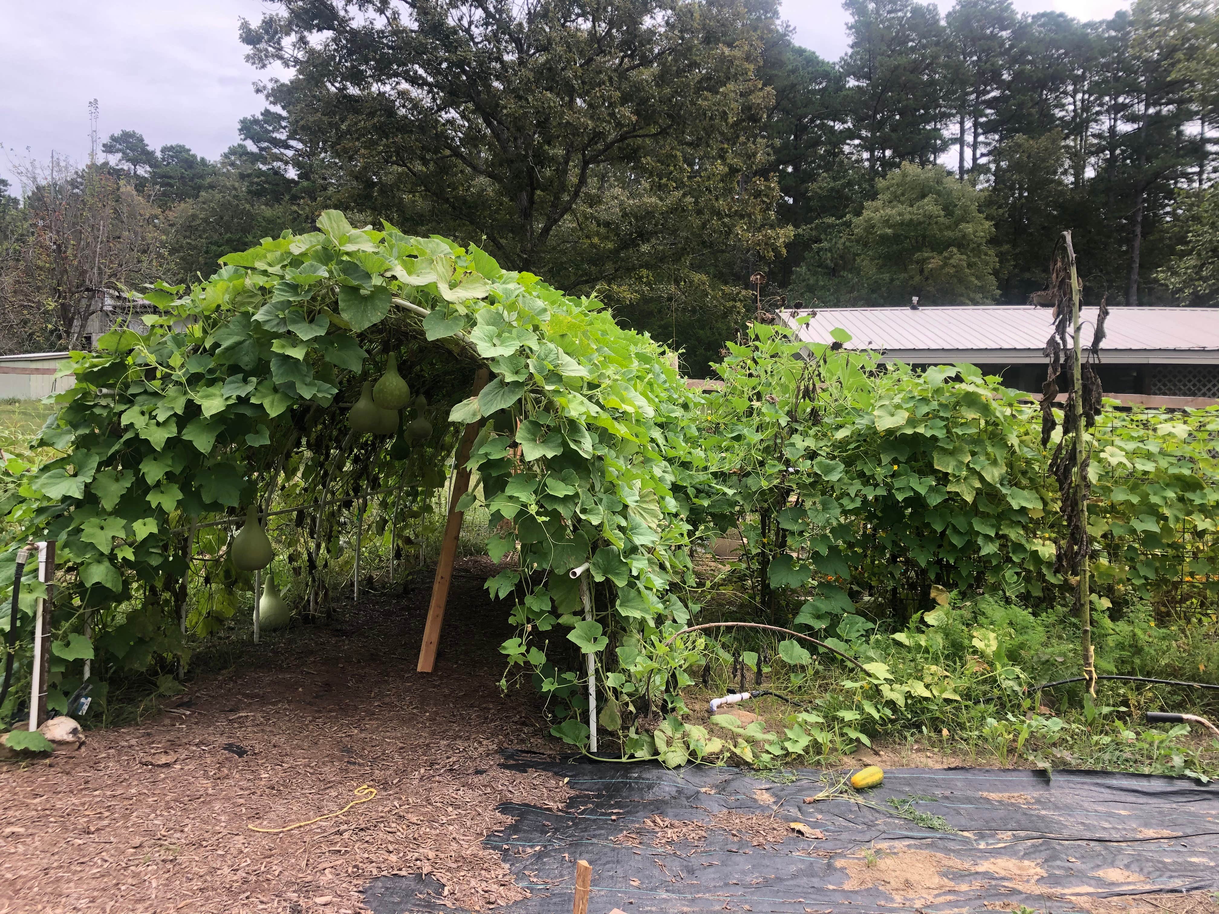 Camper-submitted photo at Sullana Farm near West Plains, MO