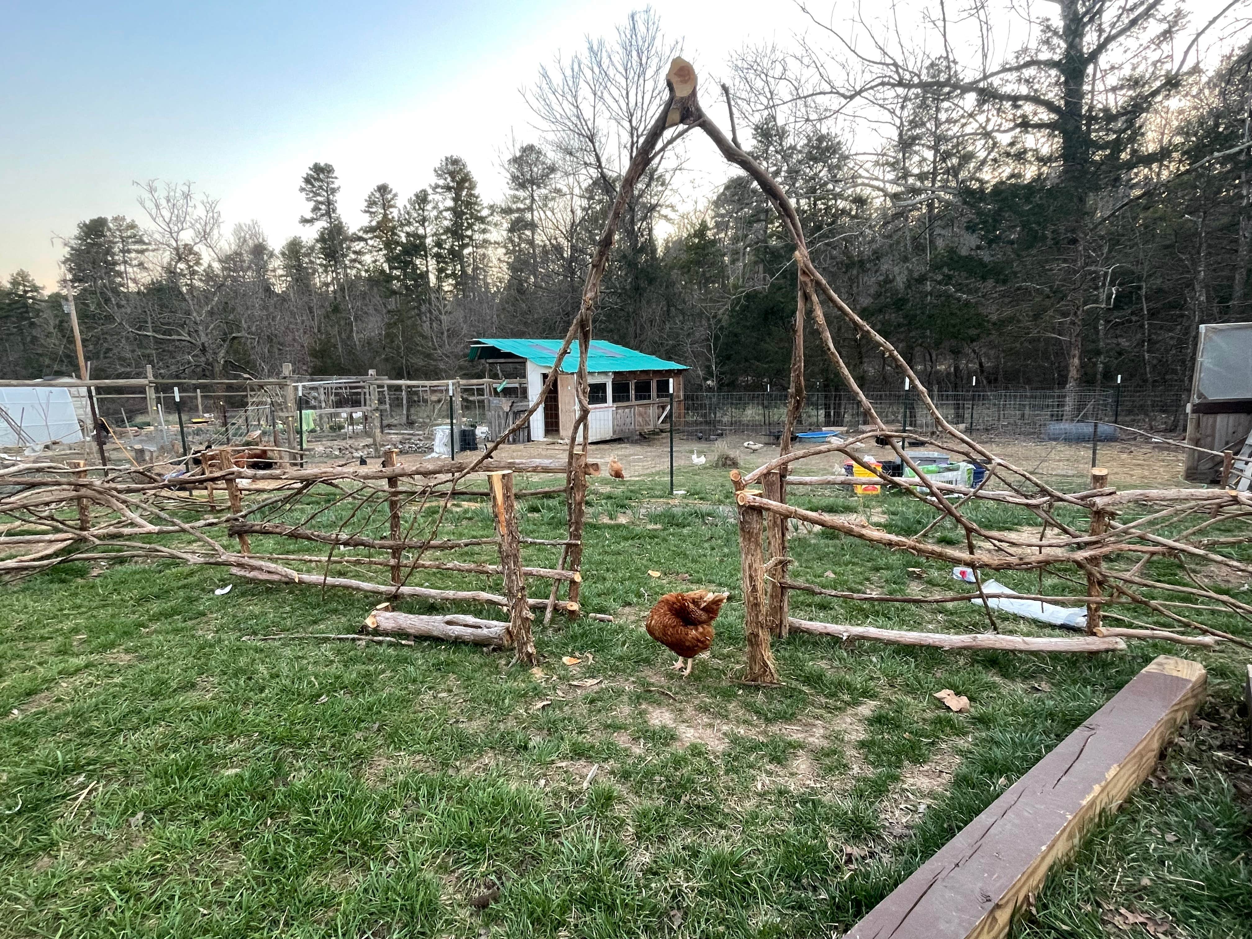 Svetlana L.'s photo of camping with pets at Sullana Farm near Birch Tree, MO