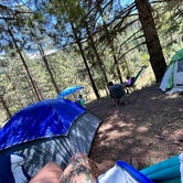 Review photo of Bluff Springs Campground by fatima , June 23, 2023