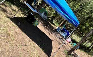 fatima's photo of tent camping at Bluff Springs Campground near Magnolia Springs, AL