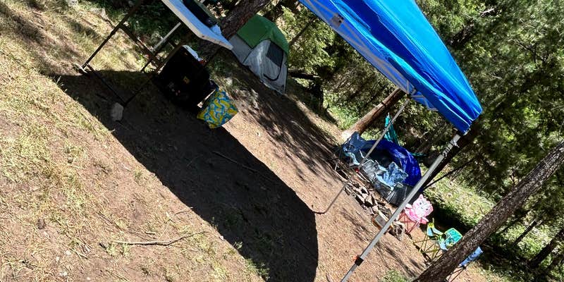 Camper submitted image from Bluff Springs Campground