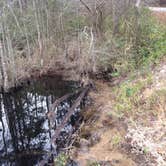 Review photo of Carolina Sandhills National Wildlife Refuge, Permitted Camping by Janet R., October 18, 2018