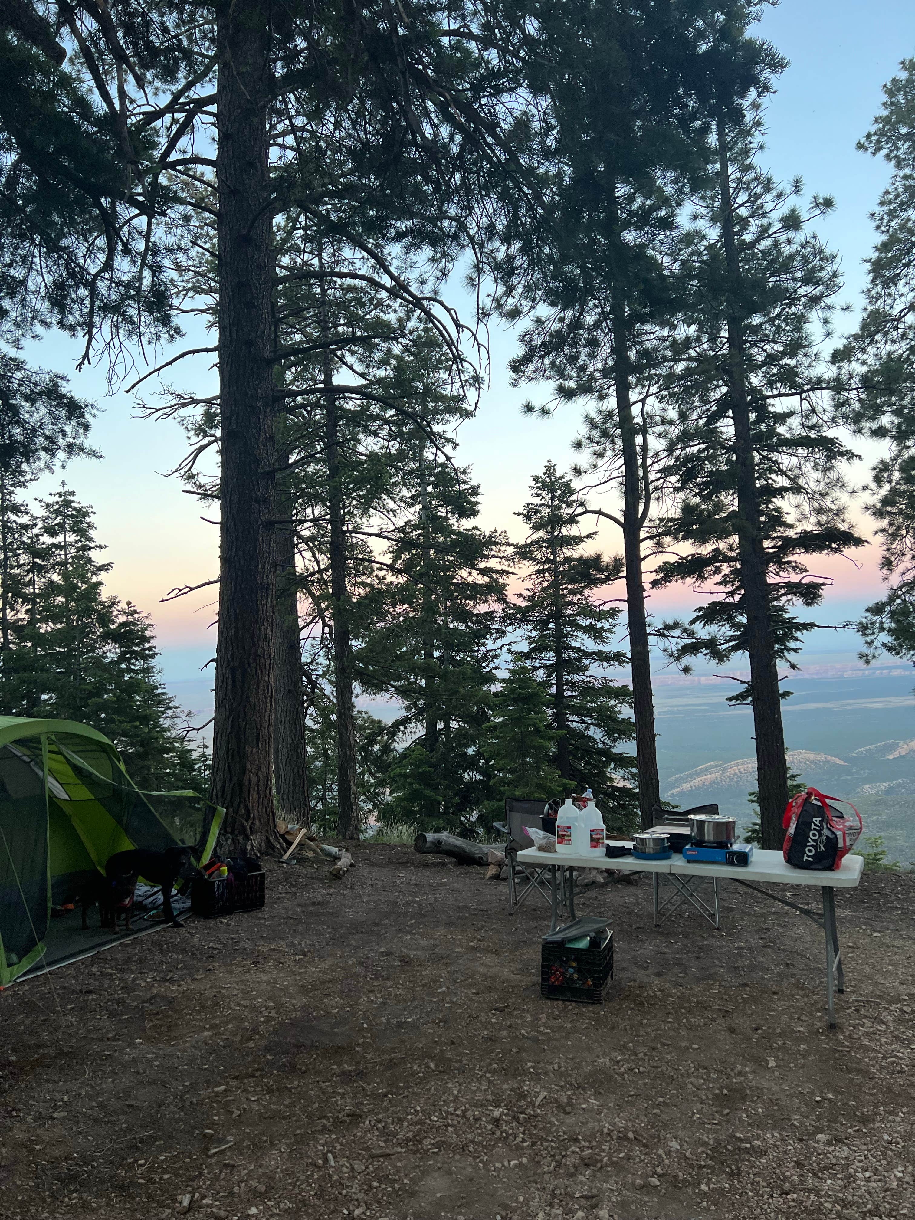 Justin C.'s photo of a dispersed camping area at Forest Road 611 near Supai, AZ