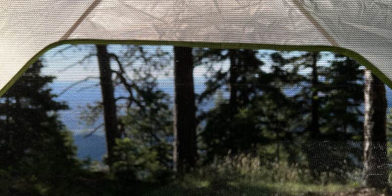 Camper submitted image from Forest Road 611