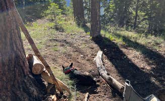 Justin C.'s photo of camping with pets at Forest Road 611 near Grand Canyon National Park