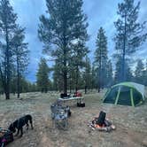 Review photo of Fire Rd 688 - Dispersed by Justin C., June 23, 2023