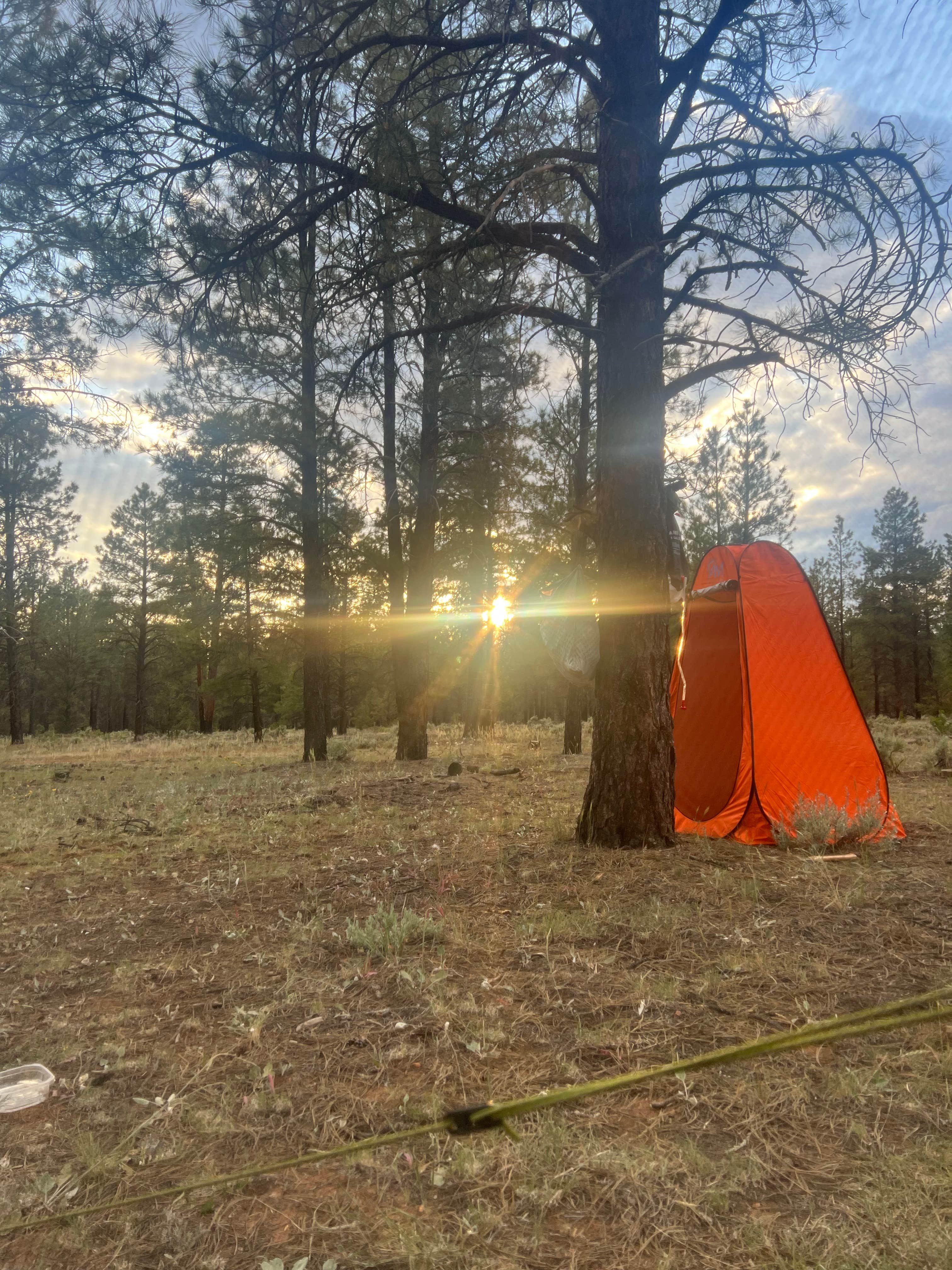 Camper-submitted photo at Fire Rd 688 - Dispersed near Grand Canyon, AZ