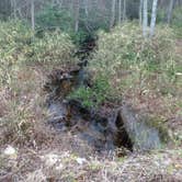 Review photo of Carolina Sandhills National Wildlife Refuge, Permitted Camping by Janet R., October 18, 2018