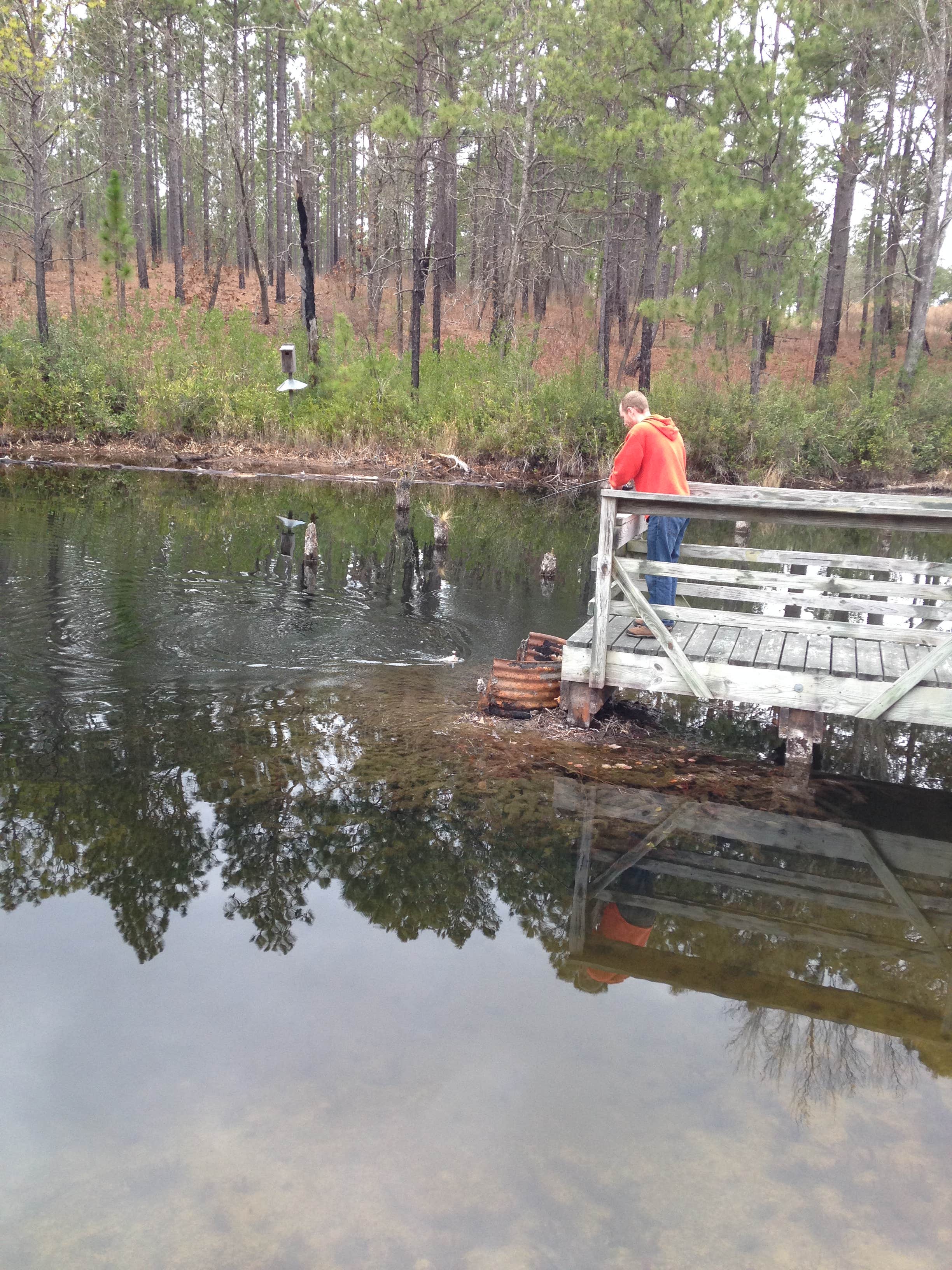 Camper submitted image from Carolina Sandhills National Wildlife Refuge, Permitted Camping - 5