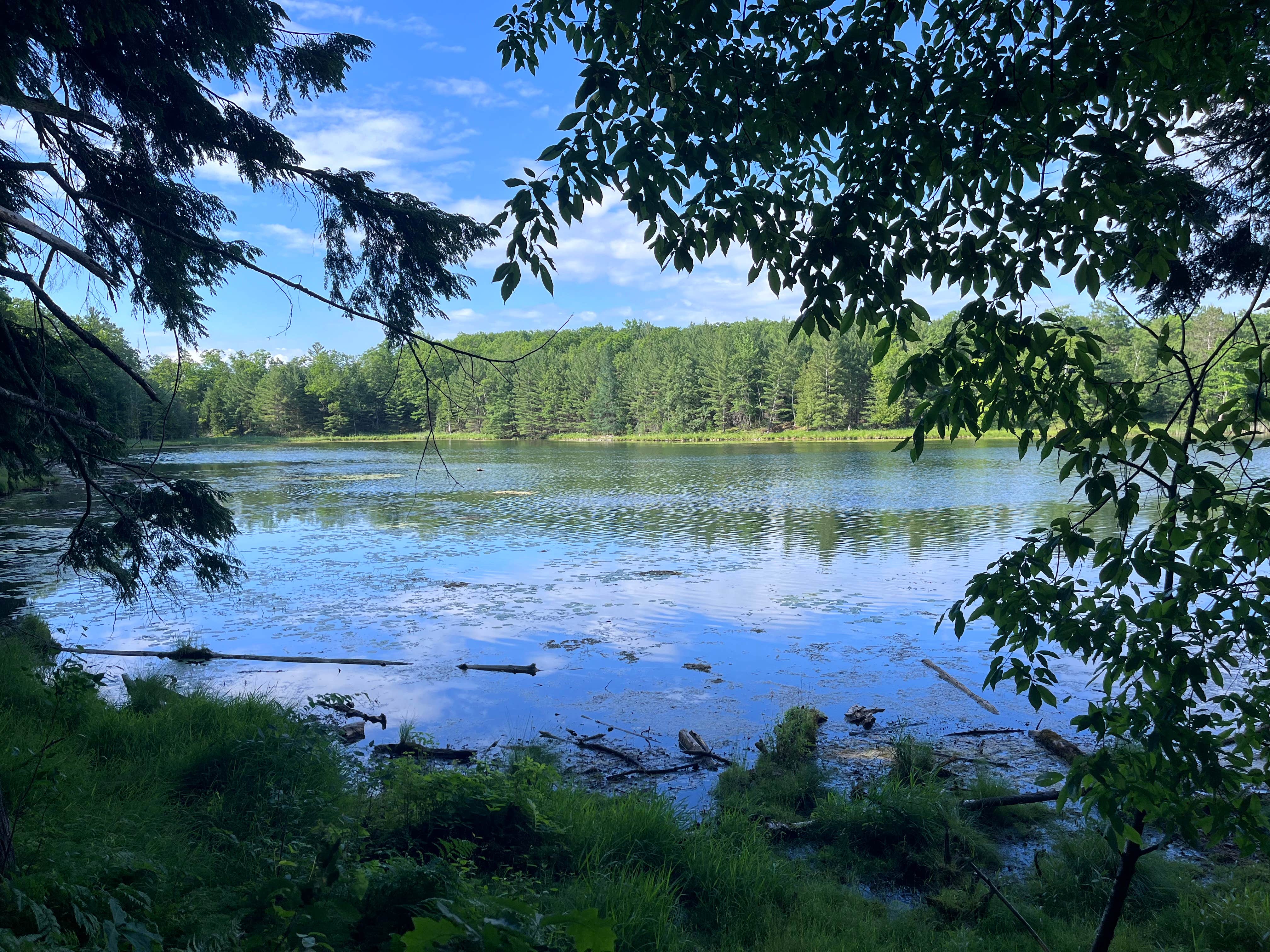 Camper submitted image from Trout Lake State Forest Campground - 3