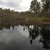 Review photo of Carolina Sandhills National Wildlife Refuge, Permitted Camping by Janet R., October 18, 2018