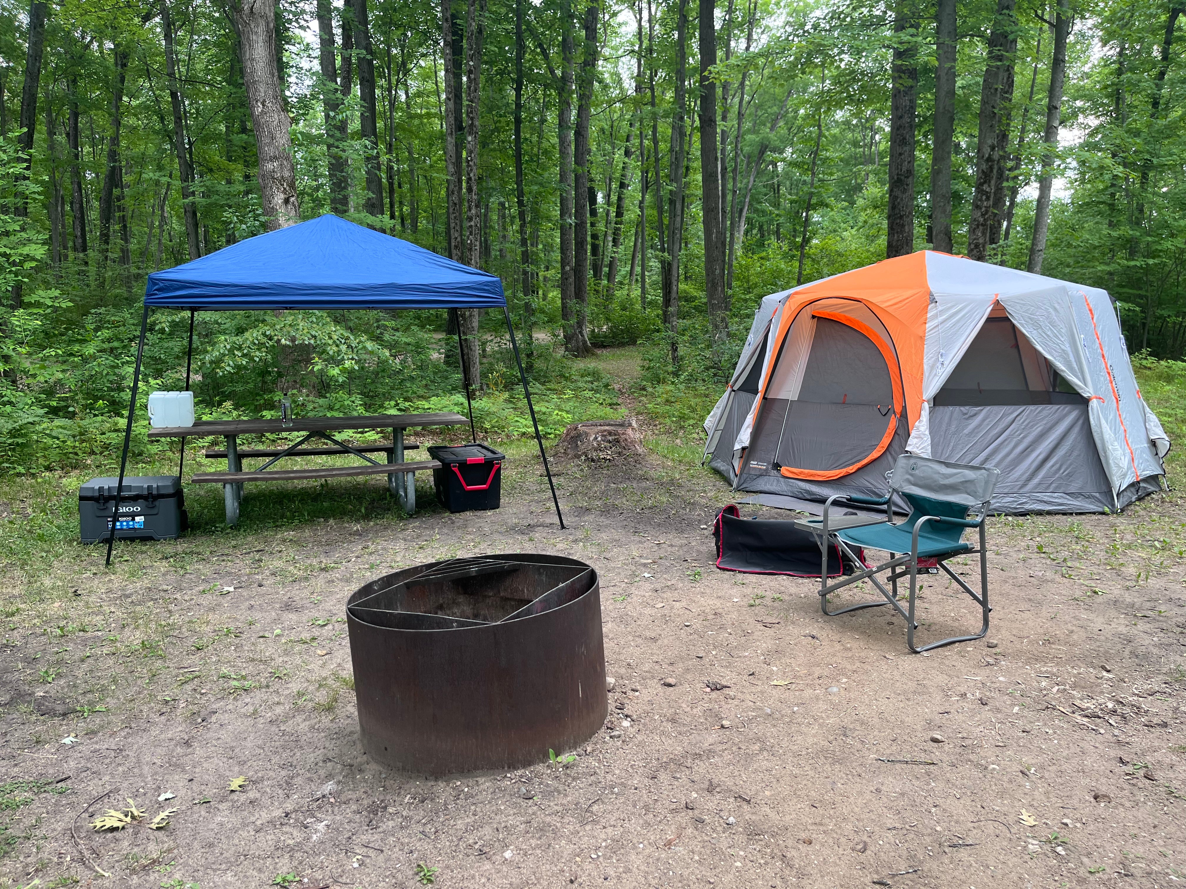 Camper submitted image from Trout Lake State Forest Campground - 1