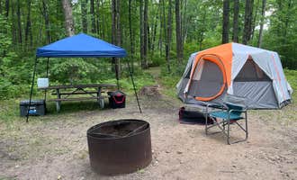 Camping near Harrison RV Family Campground (previously Camp Withii): Trout Lake State Forest Campground, Gladwin, Michigan