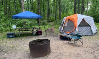Camping near Sugar Springs Campground: Trout Lake State Forest Campground, Gladwin, Michigan