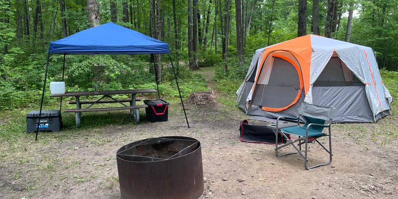 Camper submitted image from Trout Lake State Forest Campground