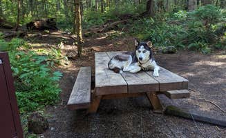 Madeline W.'s photo of camping with pets at Tinkham Campground near Enumclaw, WA