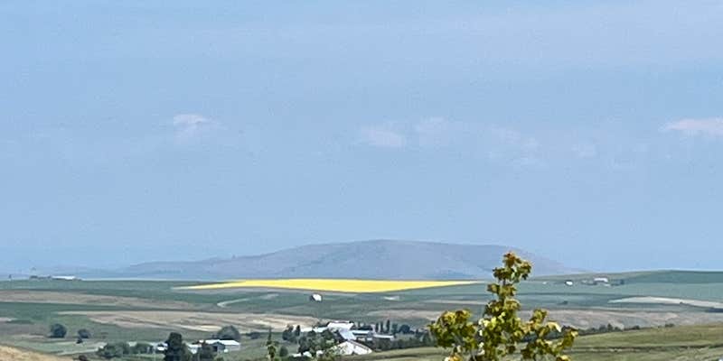 Camper submitted image from Seubert RV Park & Guesthouse