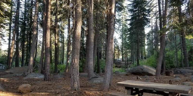 Camper submitted image from Big Meadows Campground