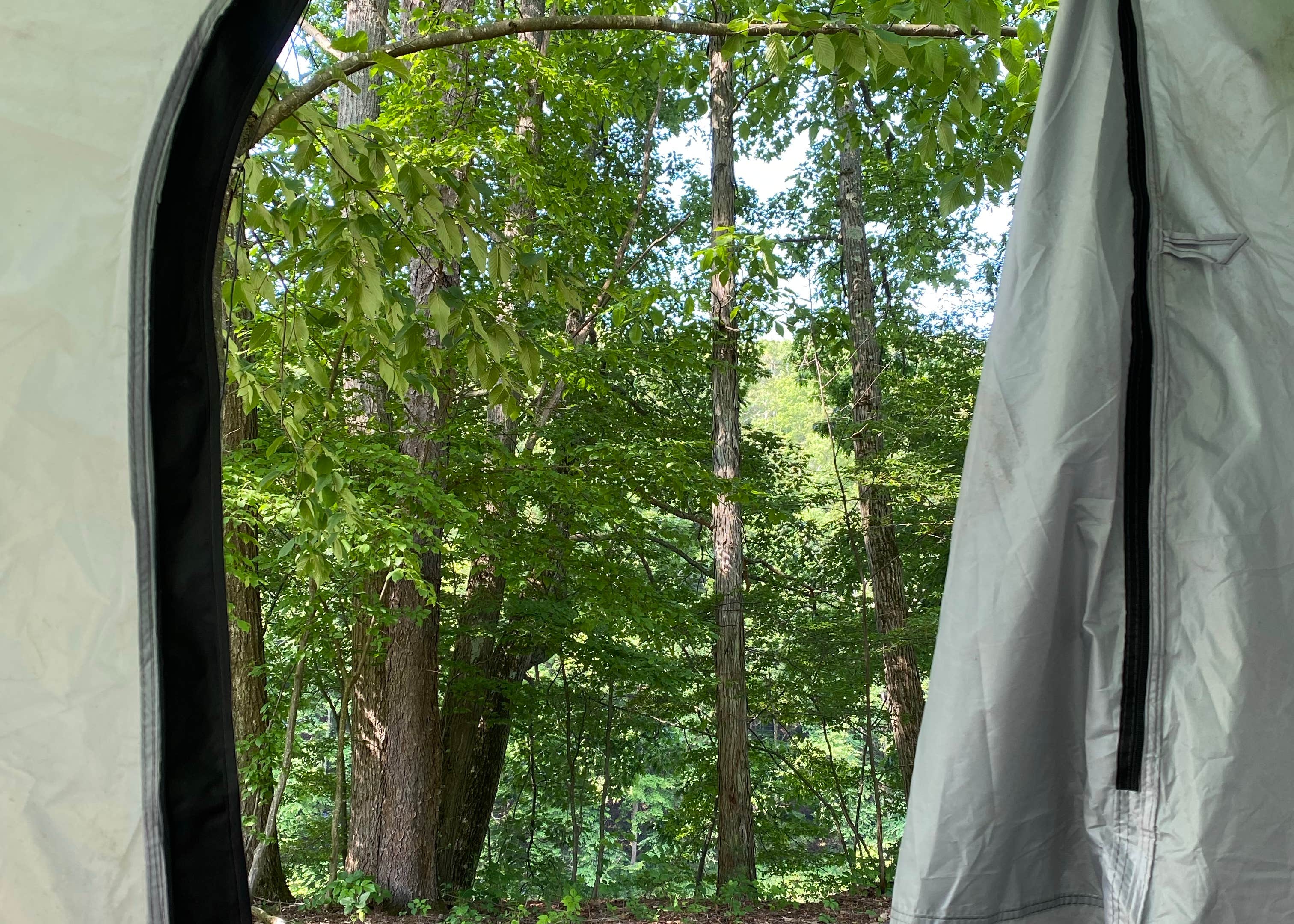 Riverhurst Park Campground Camping The Dyrt