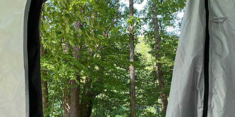 Camper submitted image from Riverhurst Park Campground