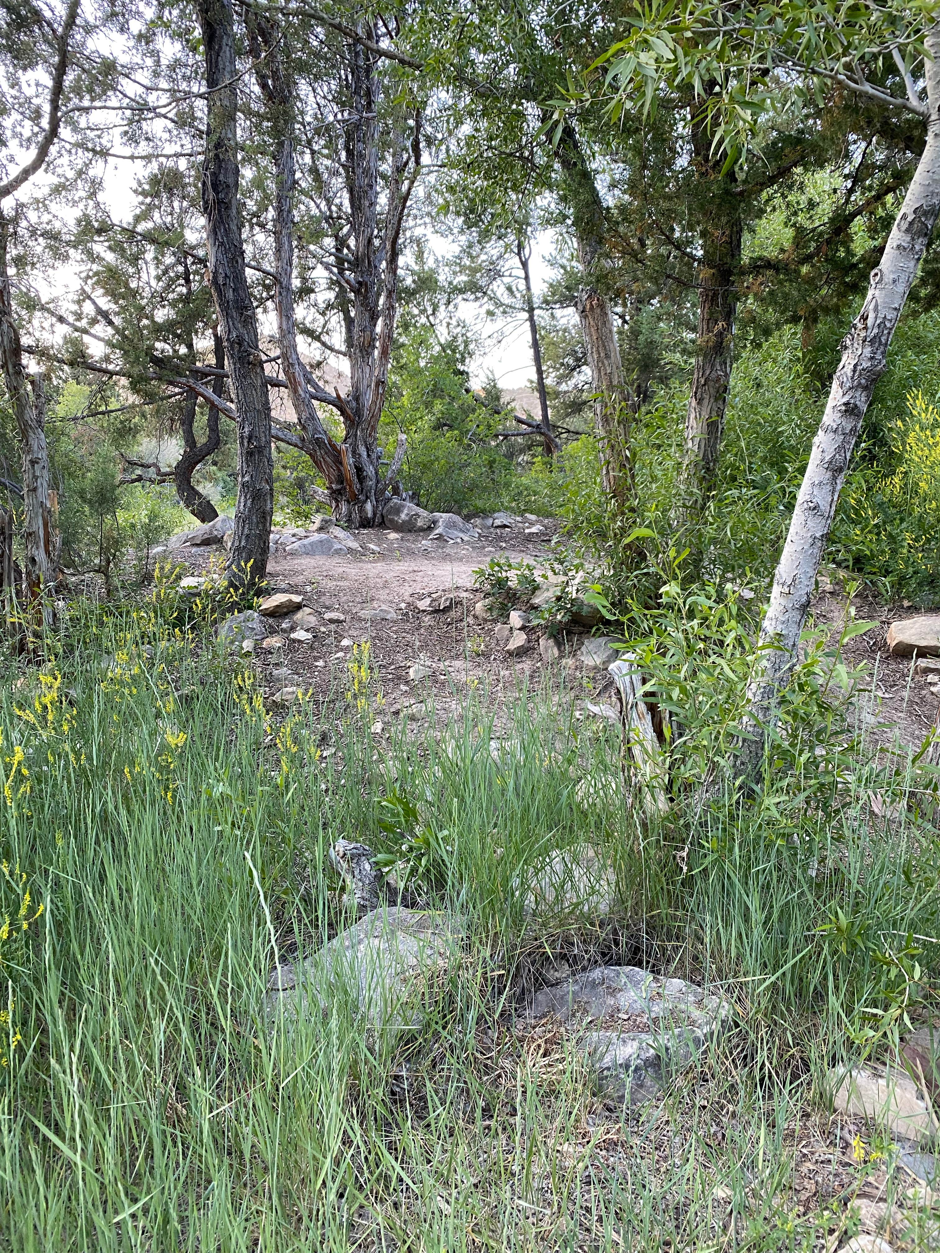 Camper-submitted photo at Coal Creek Dispersed - Cedar City near Parowan, UT