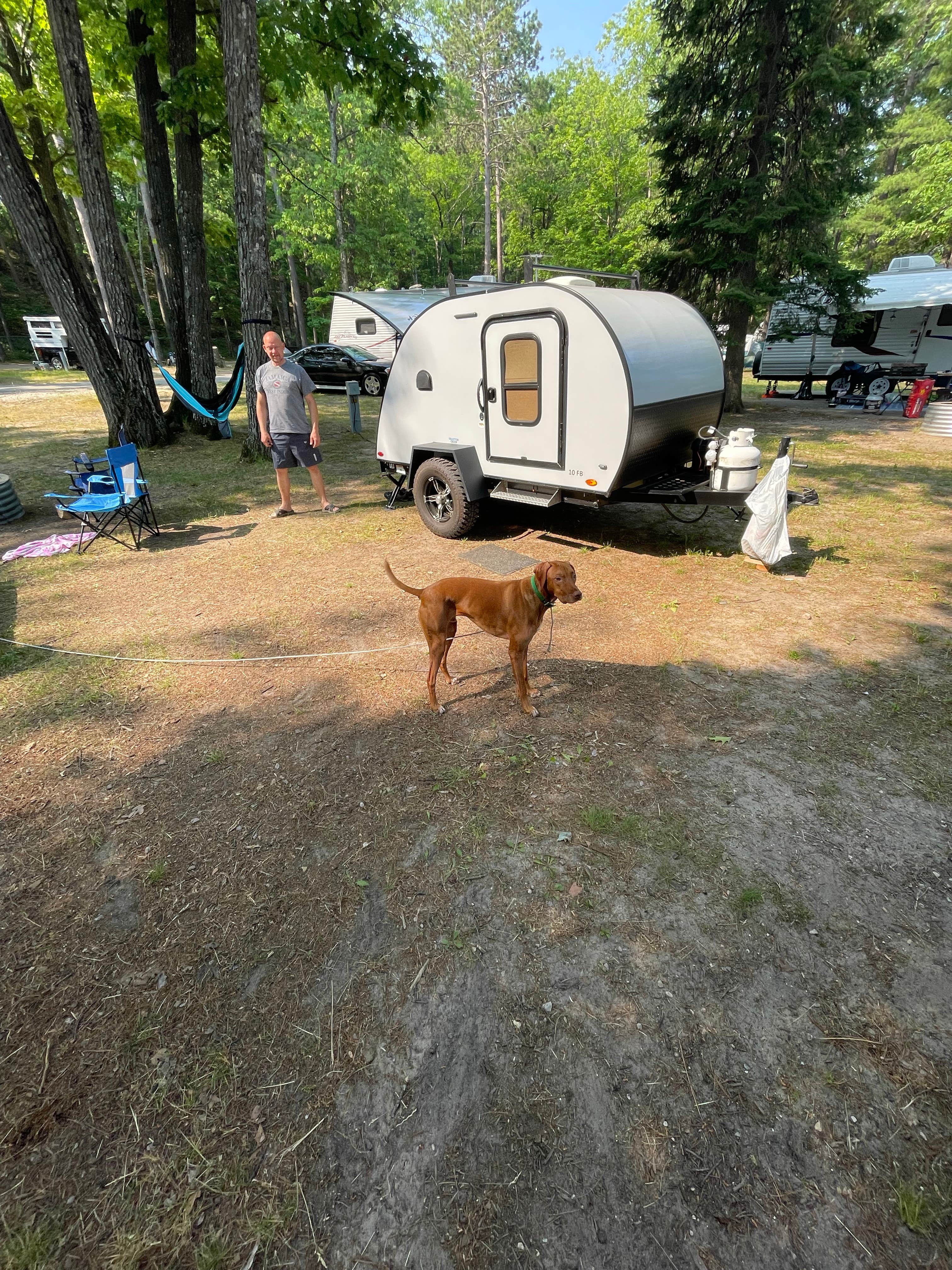 Tracy W.'s photo of camping with pets at Burt Lake State Park Campground near Onaway, MI