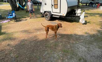 Tracy W.'s photo of rv camping at Burt Lake State Park Campground near Boyne City, MI